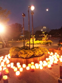 2011-10-10-18-03-32-001.jpg