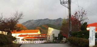 DSC_1549-1.jpg