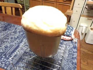 IMG_20130216_061202.jpg
