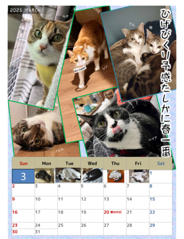 3-2025_neko_cale.png
