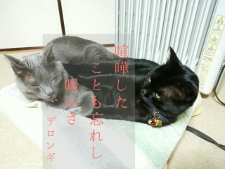_20151102_210907.png